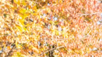 64% de los estadounidenses que quieren vender su casa esperará al verano