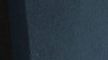 Natalia Tellez | Mezcalent.