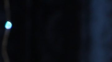 Paulina Rubio | Mezcalent.