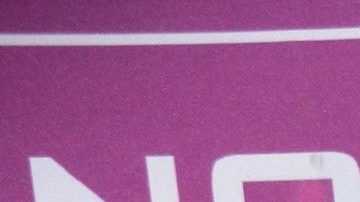 Regina Blandón | Mezcalent.