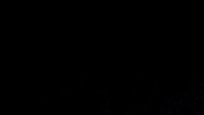 Alfredo Adame | Mezcalent.