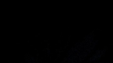 Alfredo Adame | Mezcalent.