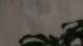 Ana Paula Capetillo.