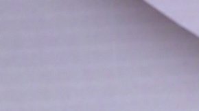 Ninel Conde | Mezcalent.