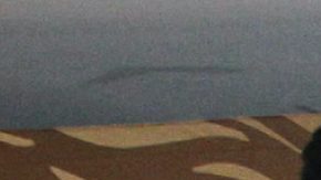 Tigres del Norte | Mezcalent.