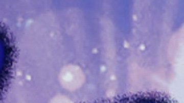 Sebastián Adame desfila por la alfombra roja de la nueva temporada del musical "José El Soñador".