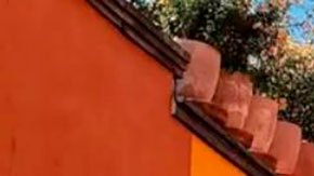 Por qué San Miguel de Allende es una "isla" en el estado con más asesinatos de México y cómo se convirtió en destino turístico mundial