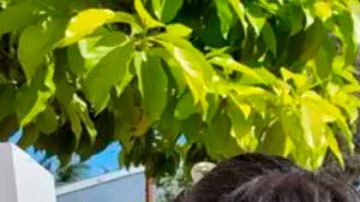 La desesperación en Wilmington, el barrio latino de Los Ángeles inundado de camiones y contenedores por la crisis en las cadenas de suministro