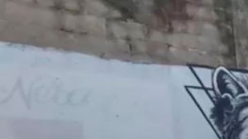 Ecuador: al menos 43 muertos tras un nuevo motín carcelario