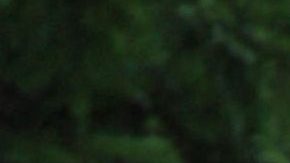 Ivonne Montero | Mezcalent.