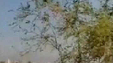 Hallan 17 cuerpos que serían de los Pájaros Sierra, rivales del CJNG, en Michoacán.