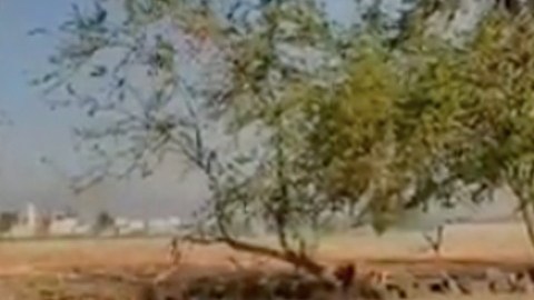 Hallan 17 cuerpos que serían de los Pájaros Sierra, rivales del CJNG, en Michoacán.