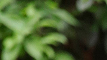 Asesinan a activista Cecilia Monzón en Puebla