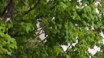 Agresor de Buffalo adelantó desde junio que quería provocar una masacre y la policía sabía de la amenaza