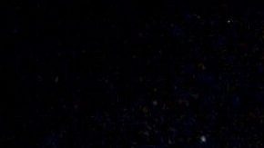 La Chupitos | Mezcalent.