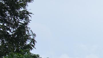 Más de 30 muertos en estampida humana en Nigeria