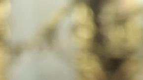 Presidente del Gobierno español, Pedro Sánchez.