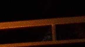 Belinda | Mezcalent.