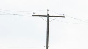 Tormentas en Canadá dejan al menos ocho fallecidos