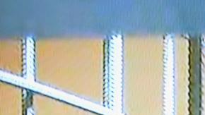 Justicia rusa confirma la condena del opositor Navalni a nueve años de cárcel