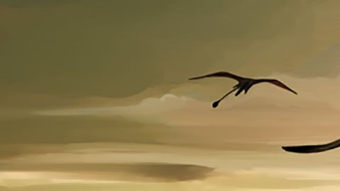 Hallan los restos del "dragón de la muerte", el mayor reptil volador de Sudamérica