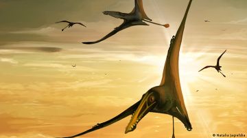 Hallan los restos del "dragón de la muerte", el mayor reptil volador de Sudamérica