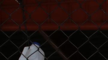 El Salvador ha detenido a más de 30.000 pandilleros en 50 días de régimen de excepción
