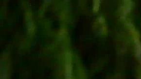 Presidente argentino promulga ley que regula industria del cannabis medicinal