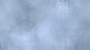 Francia registra disturbios en París durante manifestación del 1 de mayo