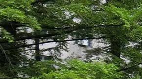 OMS: brote de COVID-19 en Corea del Norte es "preocupante" por riesgo de nuevas variantes