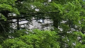 OMS: brote de COVID-19 en Corea del Norte es "preocupante" por riesgo de nuevas variantes