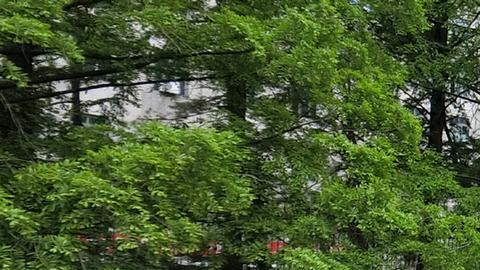 OMS: brote de COVID-19 en Corea del Norte es "preocupante" por riesgo de nuevas variantes