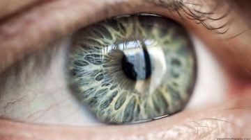 Vida después de la muerte: científicos reviven células oculares humanas de donantes de órganos