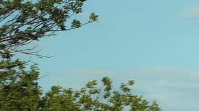 Autobuses que supuestamente transportaban a militares ucranianos que se rindieron en la planta siderúrgica de Azovstal.