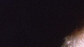 La OMS anticipa que aparecerán más casos de la viruela del mono