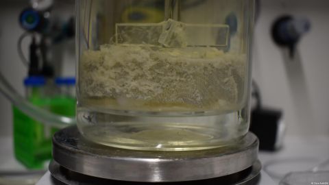 Científicos alemanes hallan una enzima capaz de biodegradar el plástico en menos de un día