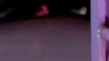 Sin Bandera | Mezcalent.