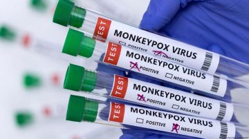 OMS descarta por ahora una pandemia por viruela del mono