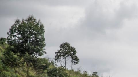 Masacre en la RD Congo deja al menos 27 muertos