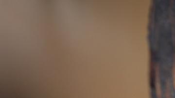 Hallazgo monumental: descubren 250 impresionantes sarcófagos con momias del Antiguo Egipto