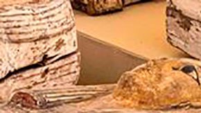 Hallazgo monumental: descubren 250 impresionantes sarcófagos con momias del Antiguo Egipto