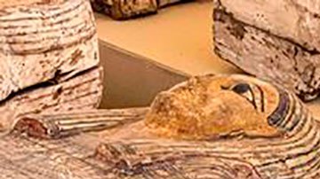 Hallazgo monumental: descubren 250 impresionantes sarcófagos con momias del Antiguo Egipto