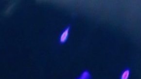 Pablo Montero en "Mira Quién Baila".