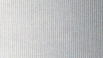 Lis Vega revela cuál es la enfermedad que le impidió convertirse en madre