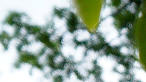 Biden saluda a la primera dama de México en la fiesta del Cinco de Mayo en la Casa Blanca.