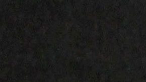 Frida Sofía | Mezcalent.