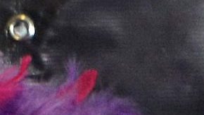 Ivonne Montero | Mezcalent.