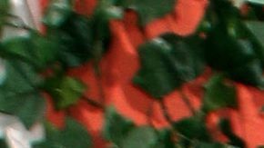 Paul Stanley en el anuncio de su participación en "Mi querida herencia".