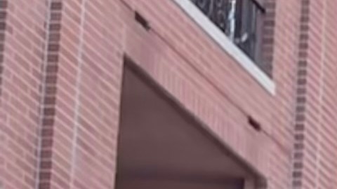 Mejores condiciones laborales y ciudadanía, el reclamo de miles de inmigrantes en EE.UU.