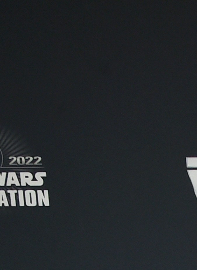 Natasha Liu Bordizzo and Rosario Dawson attend the panel for "The Mandalorian" series at Star Wars Celebration 2022.